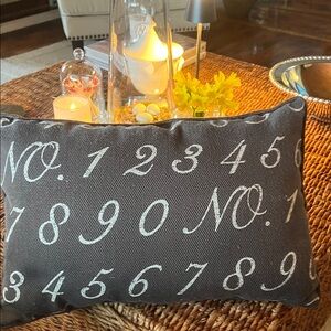 Pillow /Throw Pillow